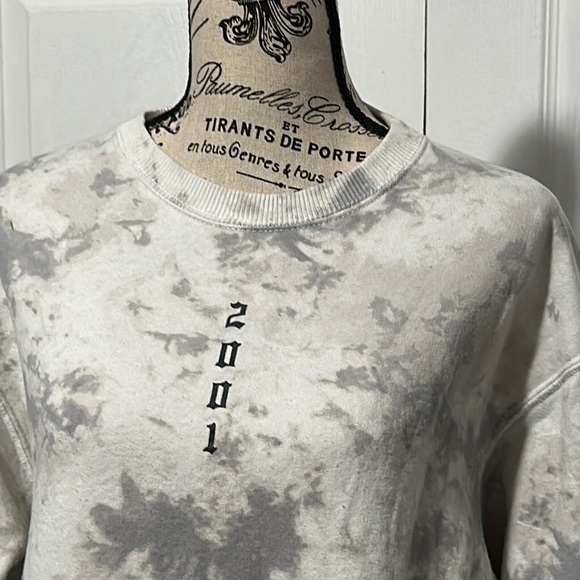 Hollister Social Tourist Charlie & Dixie Oversized 2001 Collaboration Sw… - Picture 6 of 15